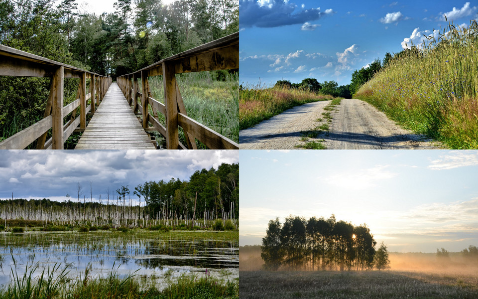 Poleski Park Narodowy (woj. lubelskie)