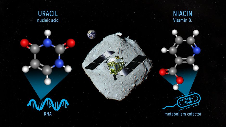 Na asteroidzie Ryugu znaleziono uracyl i kwas nikotynowy