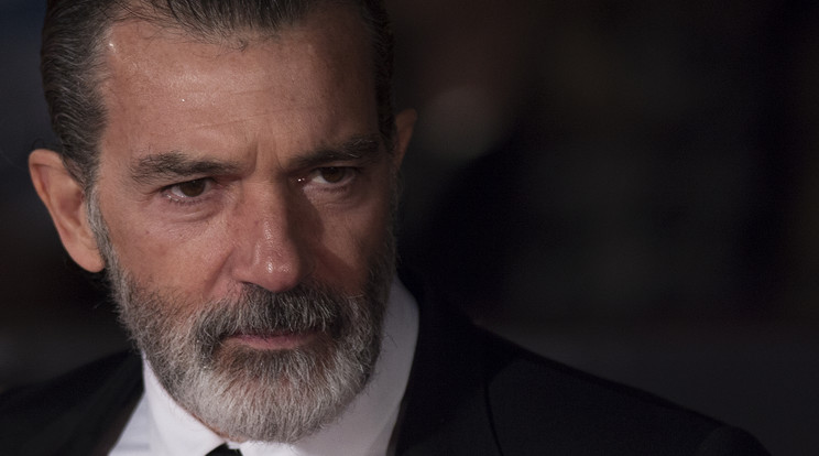 Antonio Banderas már felgyógyult januári szívrohama után
/Fotó: AFP