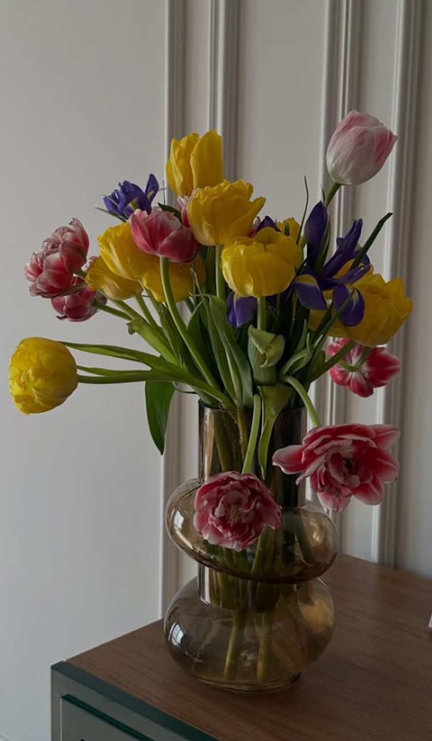 Ivana Malić, objava