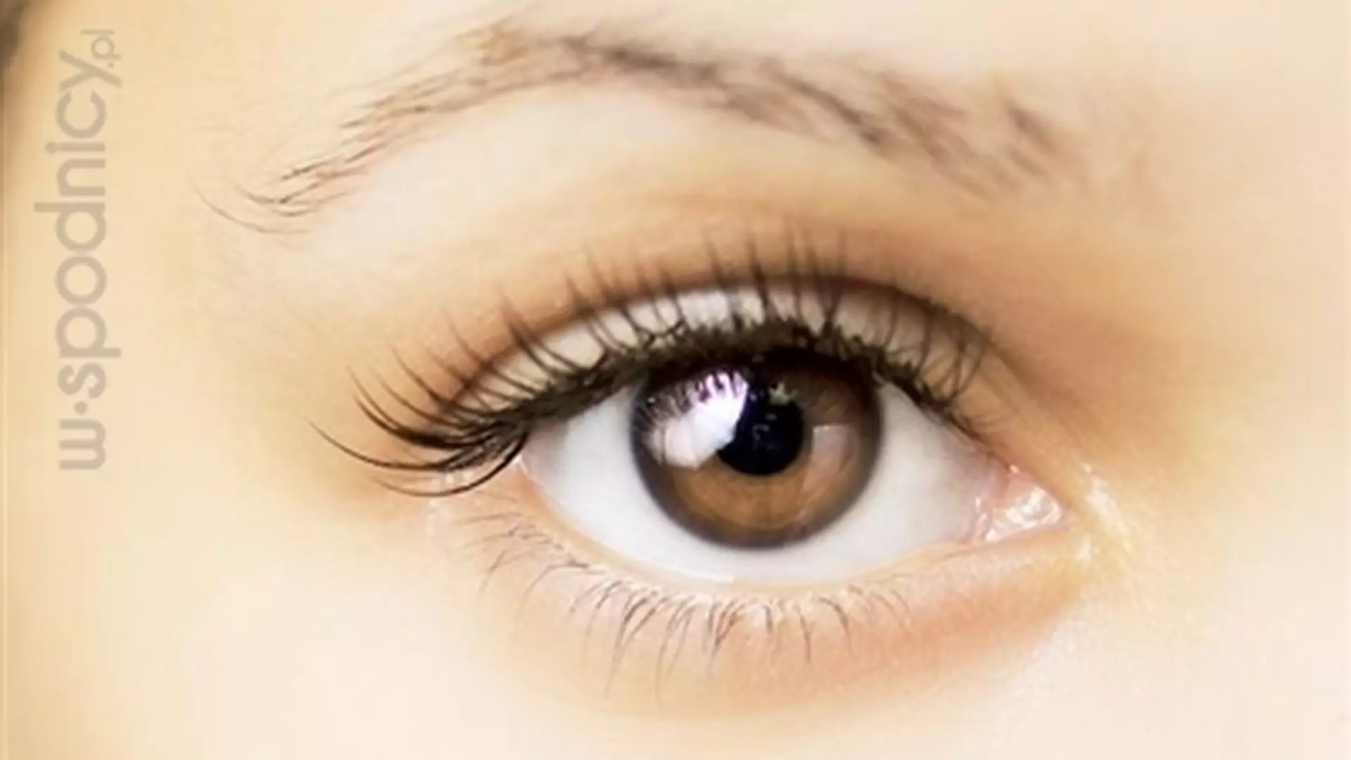 Kolor oczu a charakter - co naukowcy odkryli na ten temat?