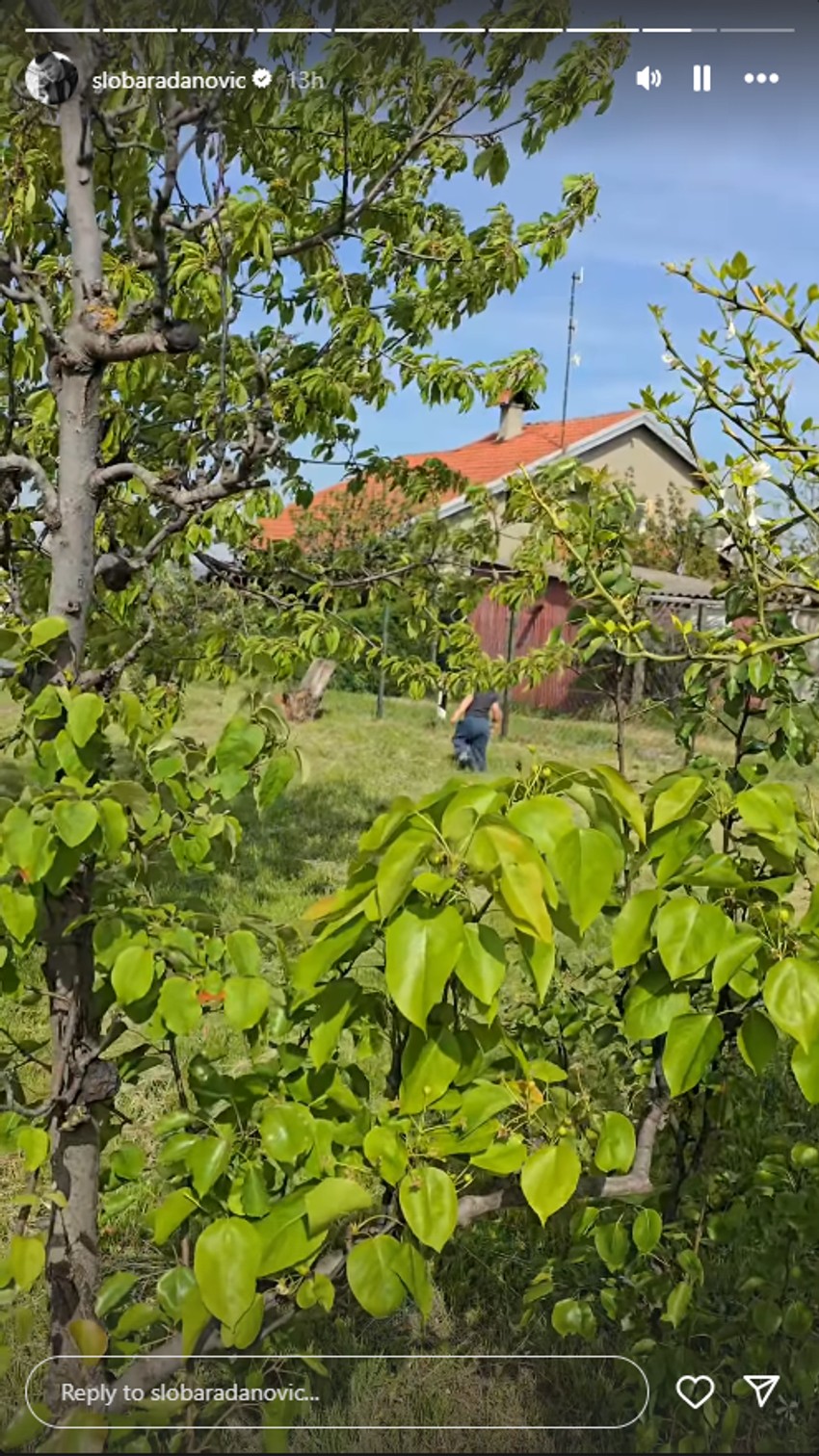 Sloba i Jelena Radanović u Slankamenu