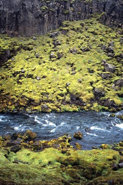 Galeria Islandia, obrazek 53