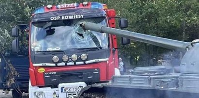 Uczestnicy pikniku rodzinnego pod Sokołowem Podlaskim nagle zamarli. Szokujące sceny