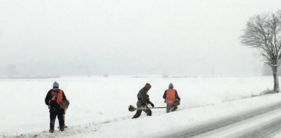 Śniegu po kostki, a drogowcy... koszą trawę. Absurd pod Lesznem