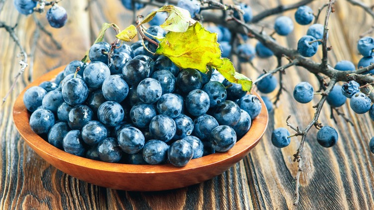 kökény, hatása, szereveztre