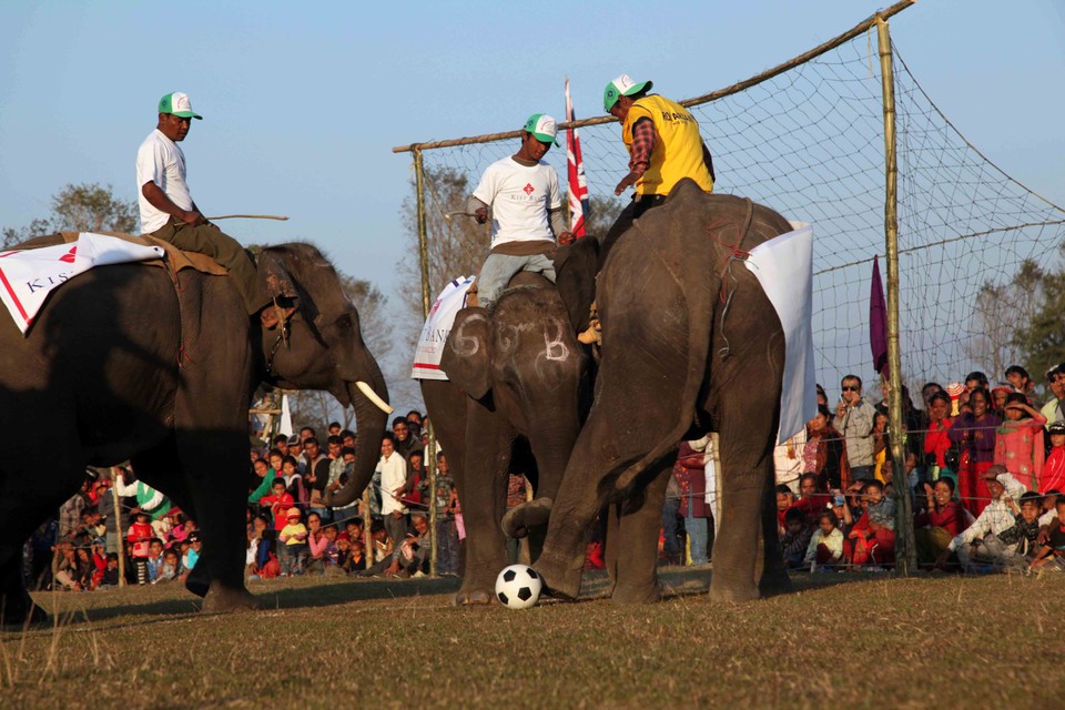 NEPAL ELEPHANT FOOTBAL