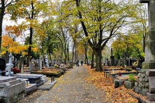 Czy we Wszystkich Świętych 1.11.2025 sklepy są otwarte? Czy zrobimy zakupy 1 listopada? Czy 2 listopada jest niedziela handlowa?