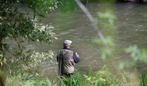 Pecanje - ilustracija