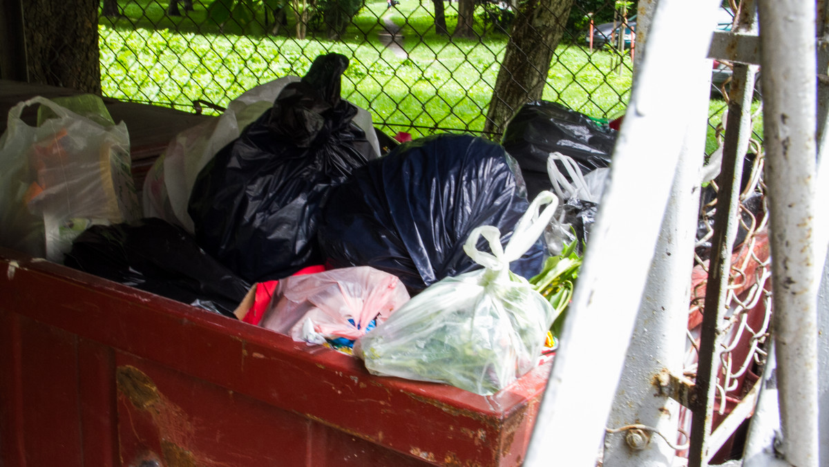 Nowy system śmieciowy w Krakowie działa od lipca tego roku. Jego głównym celem jest segregacja odpadów i odzysk surowców wtórnych. Ci, którzy segregują, płacą za wywóz mniej. Wkrótce MPO będzie zaglądać do naszych śmieci i sprawdzać, czy segregujemy śmieci zgodnie z wypełnioną deklaracją.