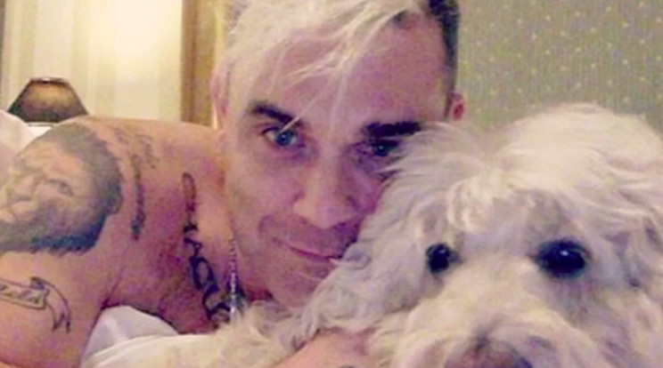 Robbie Williams és kutyája/ Fotó: Instagram