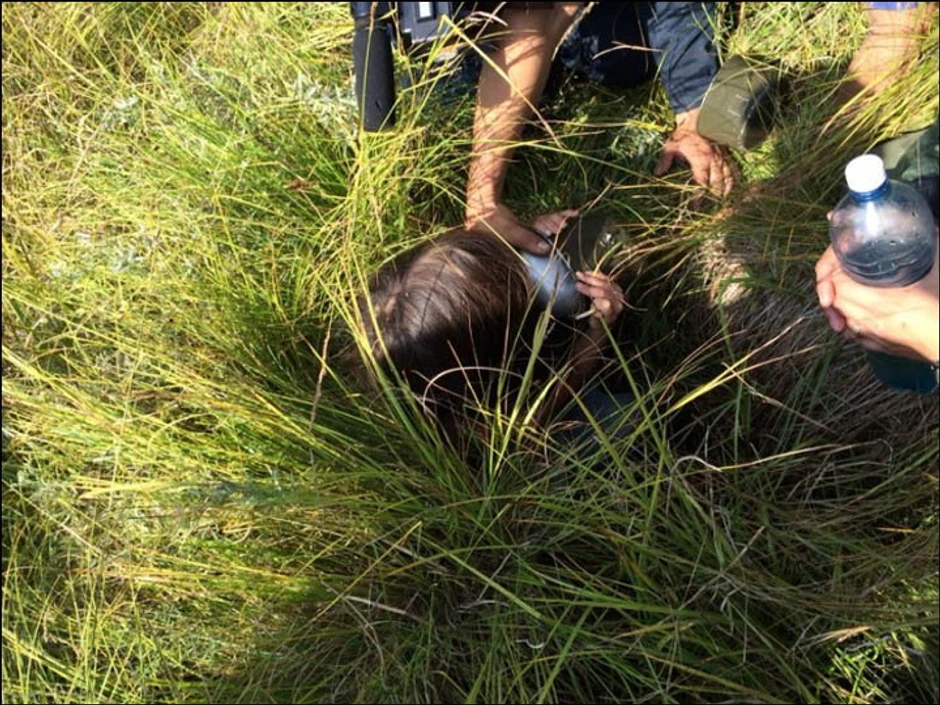 Pronađena u visokoj travi tajge