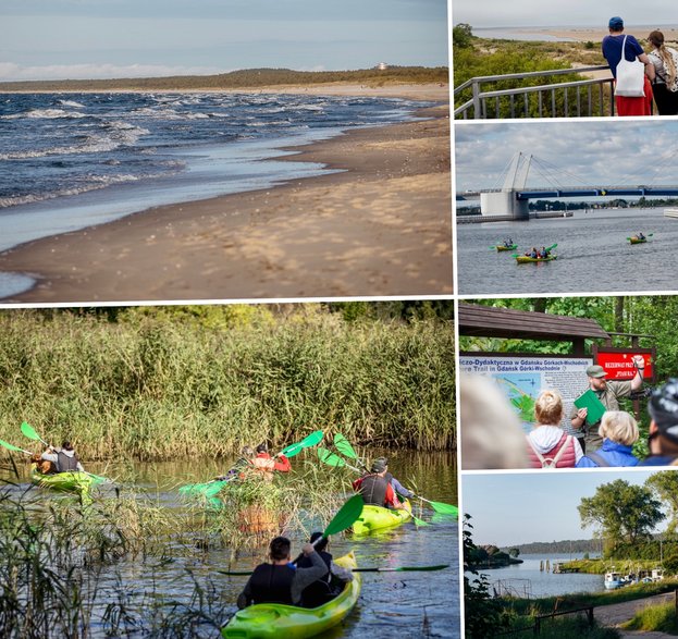 Na plażach, szczególnie po sztormie, możemy odnaleźć bryłki bursztynu