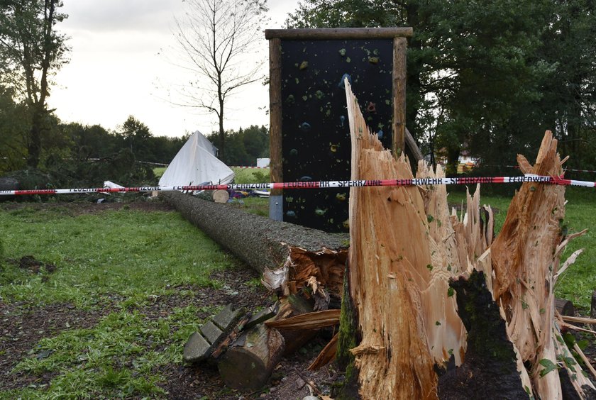 Tragedia na koloniach. Drzewo spadło na dziecko