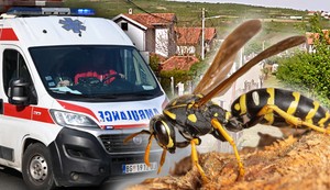 Osa 