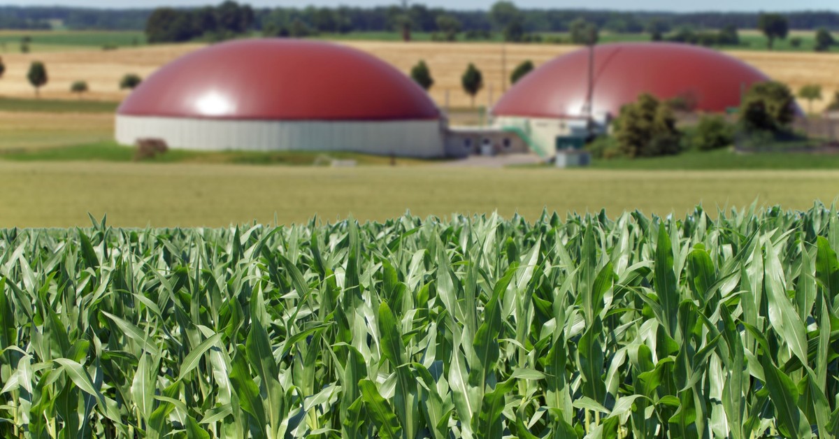 Biogaz z polskim potencjałem. Rząd przyspiesza rozwój zielonej energii z rolnictwa