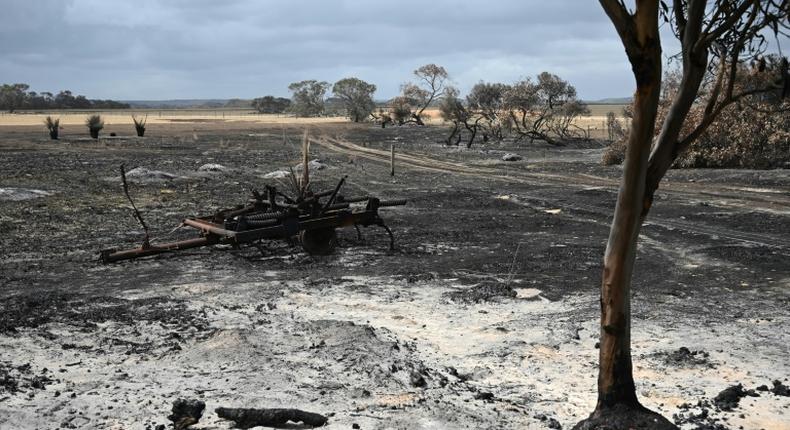 Australia is reeling from bushfires that since September have claimed 28 lives, including two on Kangaroo Island