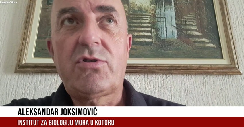 Aleksandar Joksimović