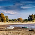 Skutki zmian klimatu kosztują gospodarkę krocie. Wiemy, ile dokładnie [WYKRESY]