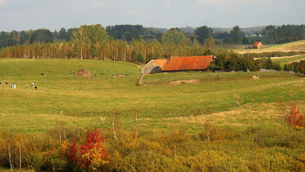 Najlepsze regionalne produkty i usługi z Warmii i Mazur - wybrane przez samorząd województwa - nagrodzono statuetkami podczas piątkowej Gali Jakości na olsztyńskim zamku. Samorząd promuje w ten sposób wyróżniające się firmy, instytucje publiczne i edukacyjne.