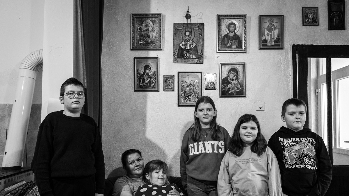 Porodica Cvijanović