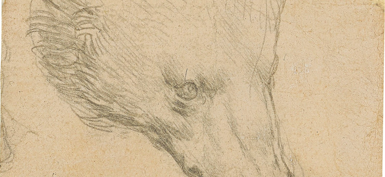 Szkic Leonarda Da Vinci sprzedany za rekordową kwotę