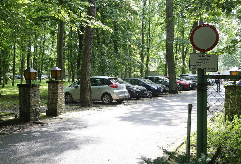 Wojsko planuje wielką wycinkę drzew w Lesie Kabackim