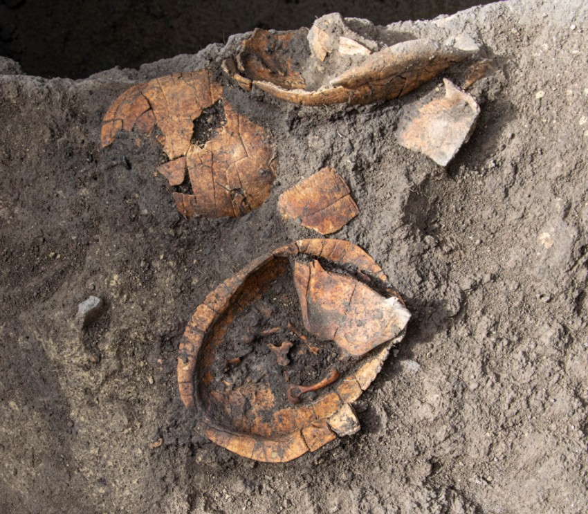 Ostaci barskih kornjača