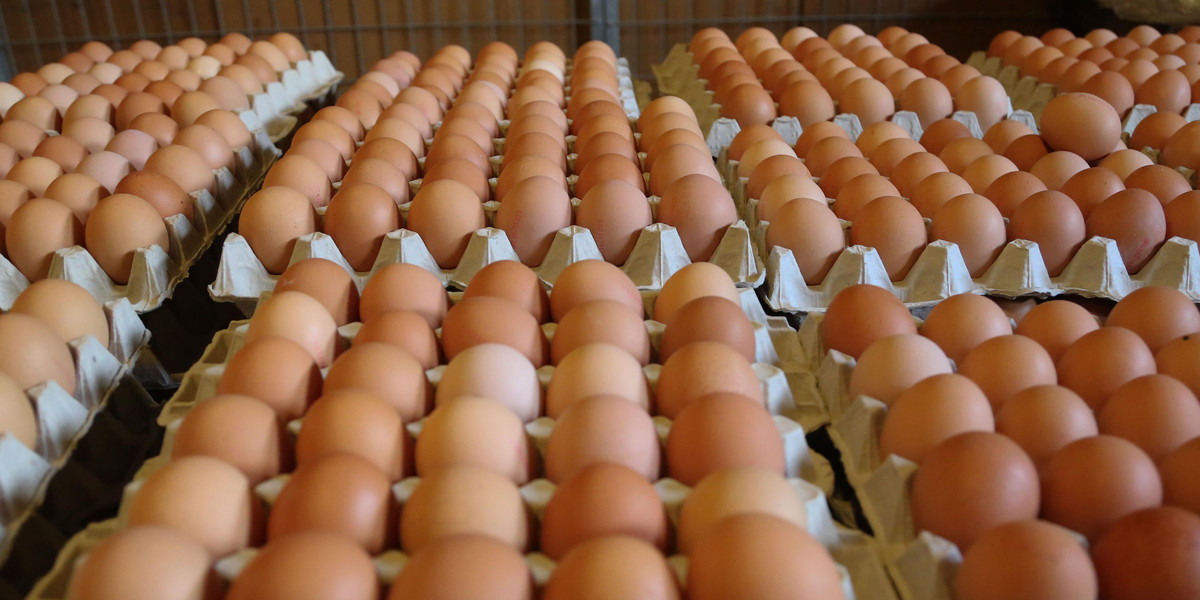 Znaleziono kolejne jaja z salmonellą. Sanepid ostrzega
