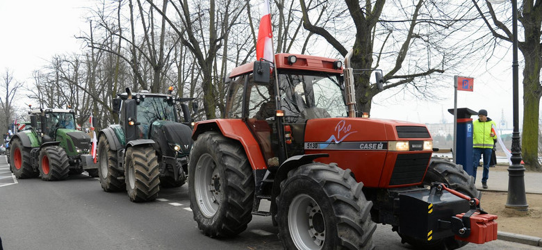 W kogo uderza protest rolników. Polskie firmy tracą konkurencyjność za granicą