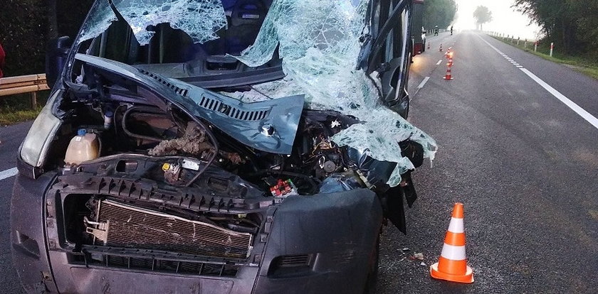 Groźny wypadek na Lubelszczyźnie! Przód auta został "zgnieciony", pasażer trafił do szpitala