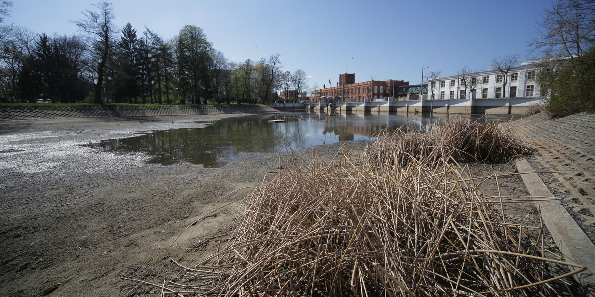 W Łodzi woda uciekła ze stawu w Parku Reymonta