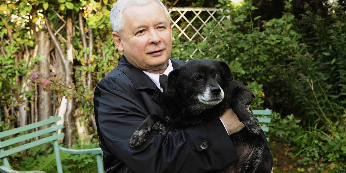 jarosław kaczyński