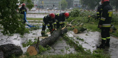Dramat w Warszawie. Drzewo spadło na matkę z niemowlakiem