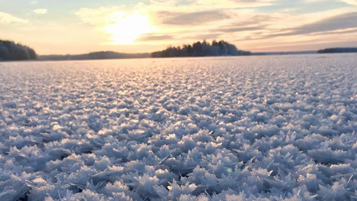 W wyniku niskich temperatur, wody jeziora Wigry zamarzły. Jednak tafla nie pozostała gładka, a utworzyły się na niej „lodowe kwiaty”. Zjawisko sfotografował Jan Jarmołowicz.
