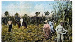 słodka wyspa. historia interwencji usa na kubie