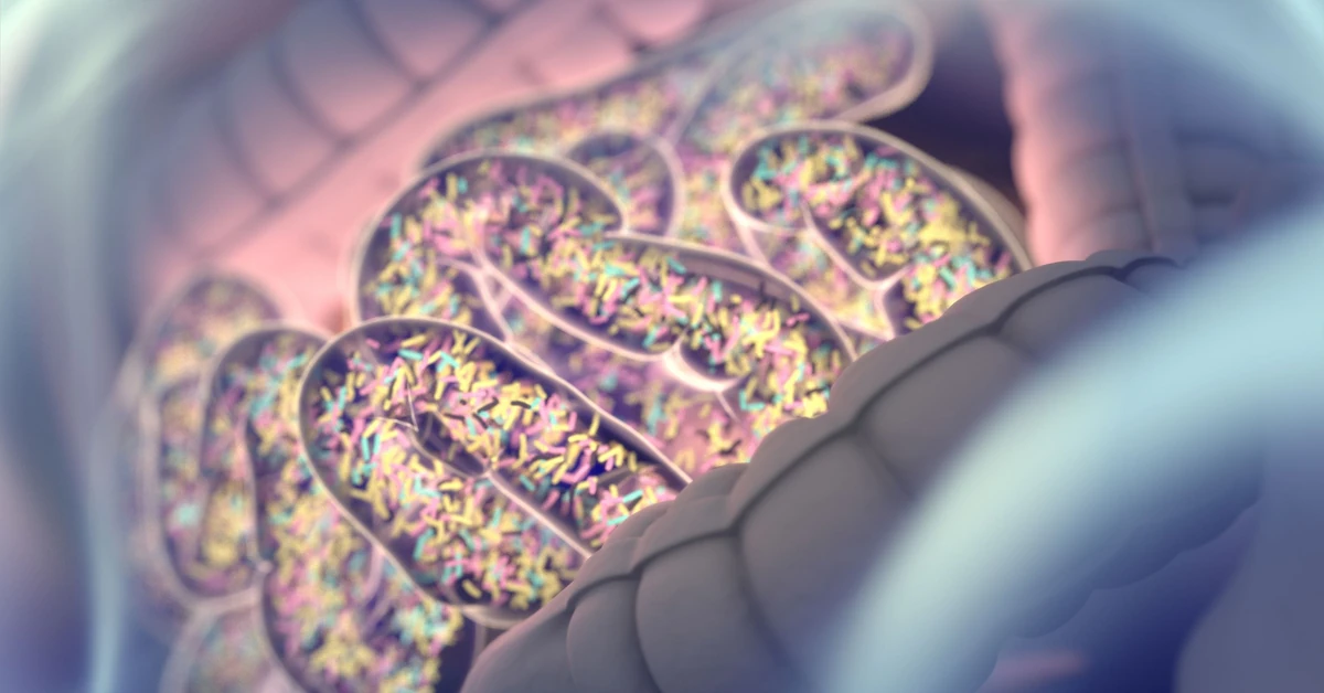 Mikrobiom jelitowy a zdrowie psychiczne i funkcjonowanie mózgu