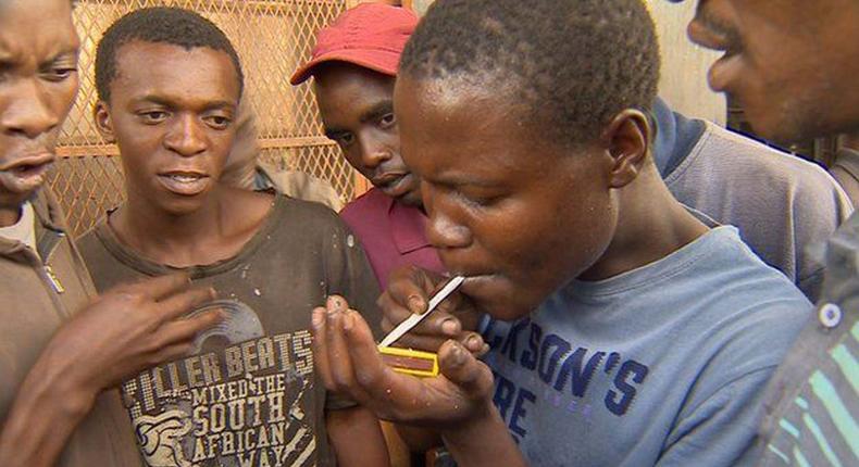 The Nigerian government is fighting to curb the menace of drug abuse amongst the youth of the country [guardian]