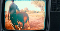 To nie żart: Damon Albarn zagrał dla... słonia [WIDEO]