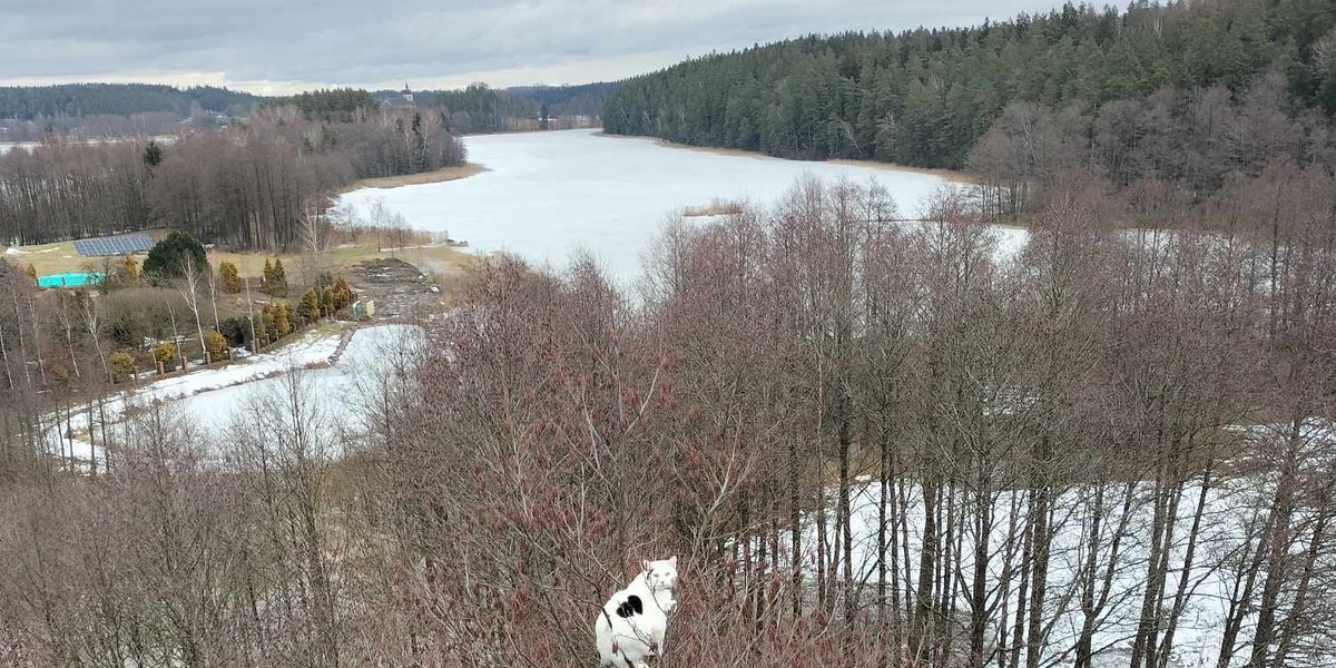 Niesamowita akcja pod Suwałkami na Podlasiu.