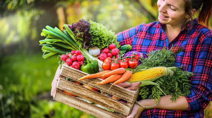 A zöldségekben rengeteg lehetőség van, felhasználásukkal nem nehéz változatos, egészséges ételeket főzni / Fotó: Shutterstock