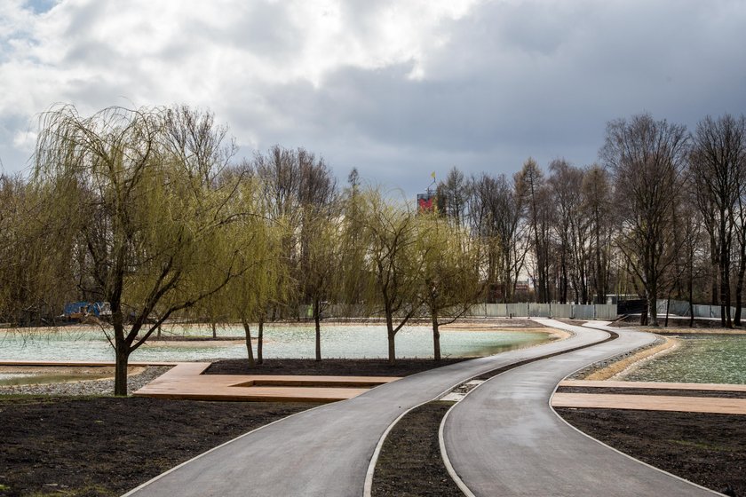 Staw w parku Lotników Polskich