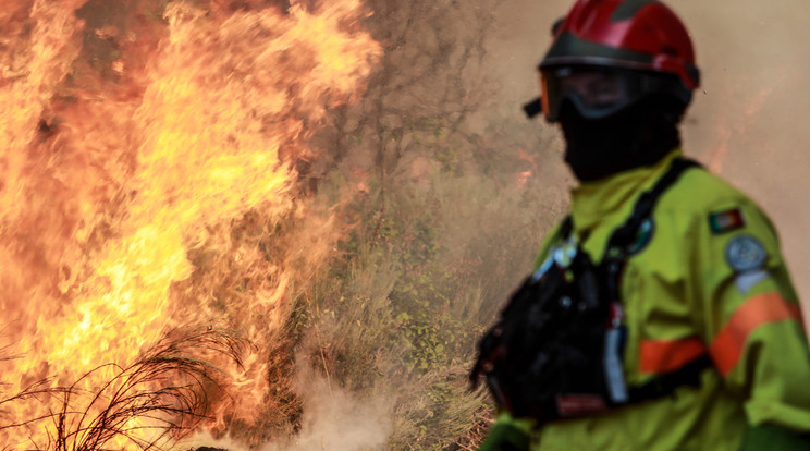 Készenléti állapotot hirdettek Portugáliában az erdőtüzek miatt /Fotó: MTI/EPA/LUSA/Miguel Pereira da Silva