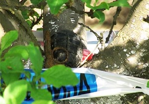 608564_vranje-999-bomba-na-sljivi-foto-v-p