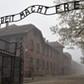 OWICIM OBZ ZAGADY KL AUSCHWITZ