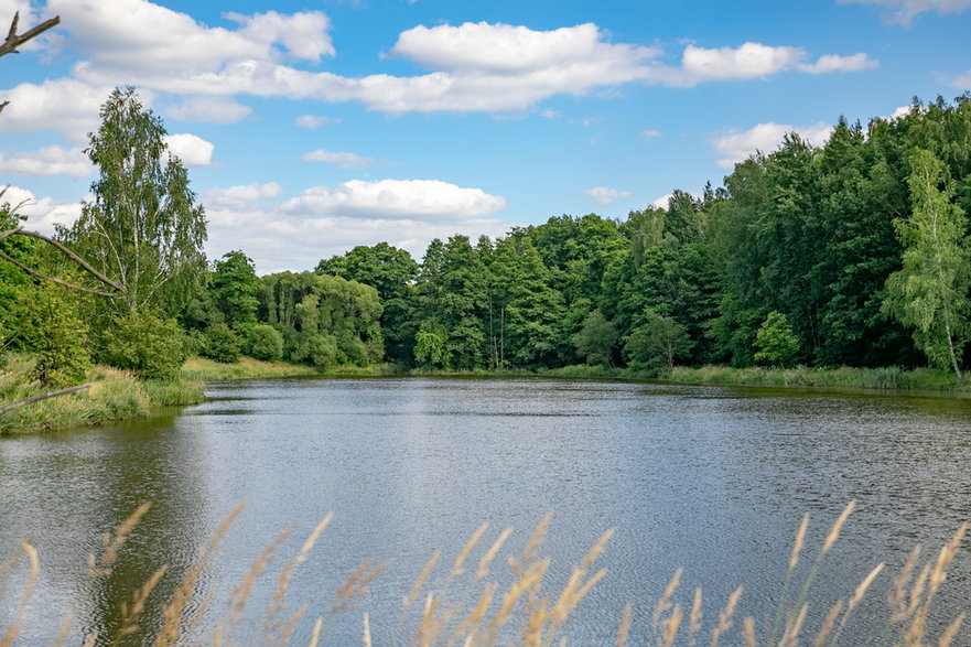 Rzeka Sokołówka w Łodzi 