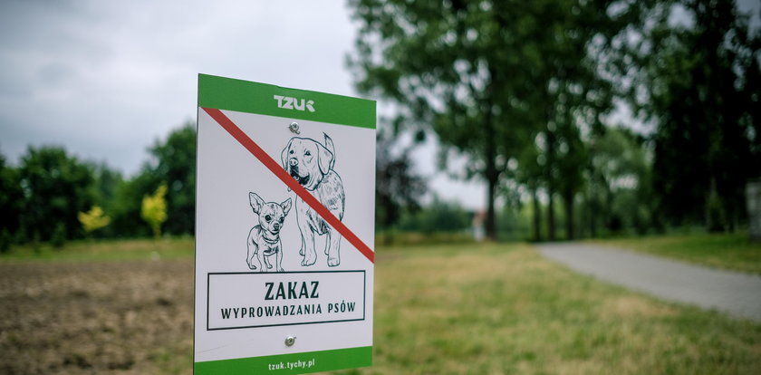 Tychy: w parkach stanęły tabliczki