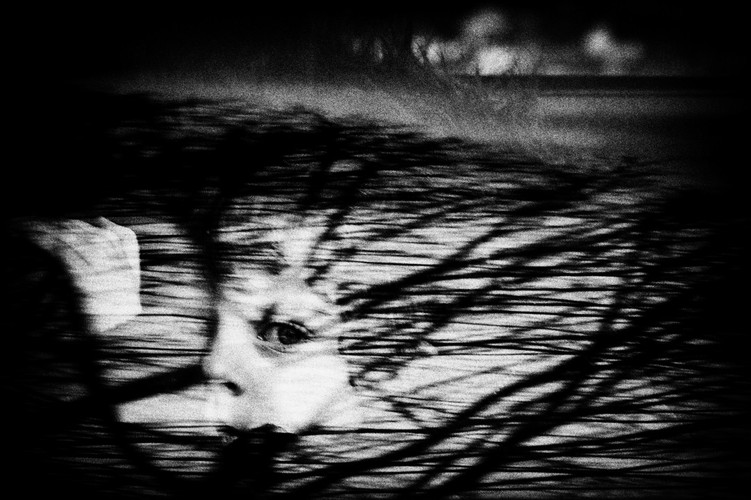 1. nagroda w kategorii Observed Portraits zdjęcie pojedyncze - fotografia Nemanja Pancica zrobiona w Serbii