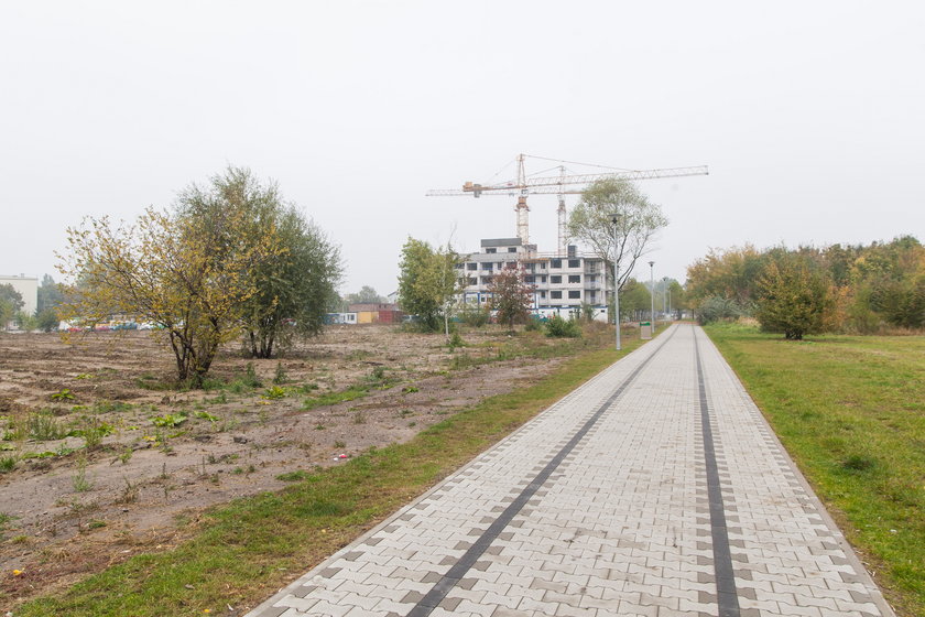 Miasto potrzebuje pieniędzy na Park Rataje