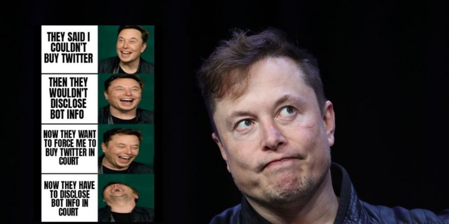 Elon Musk zadrwił z Twittera... na Twitterze (Screen: Twitter/elonmusk)